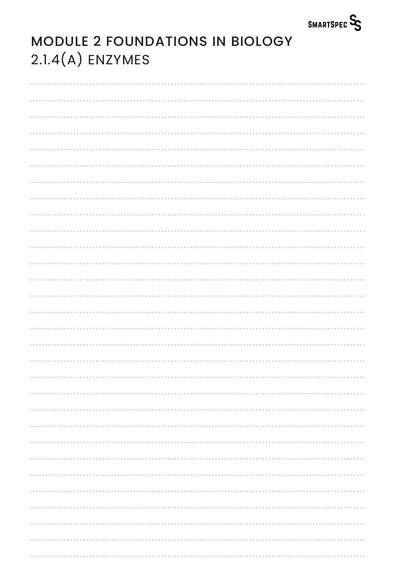 Blank SmartSpec notes page for OCR A Biology enzymes spec point